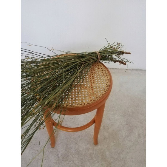 Image 1 of Wiener Holz- und Strohhocker Vintage