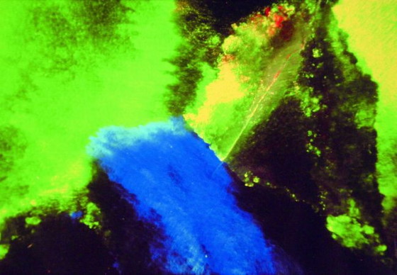 Image 1 of Wilma van Opstal - Gilson-Opal IV