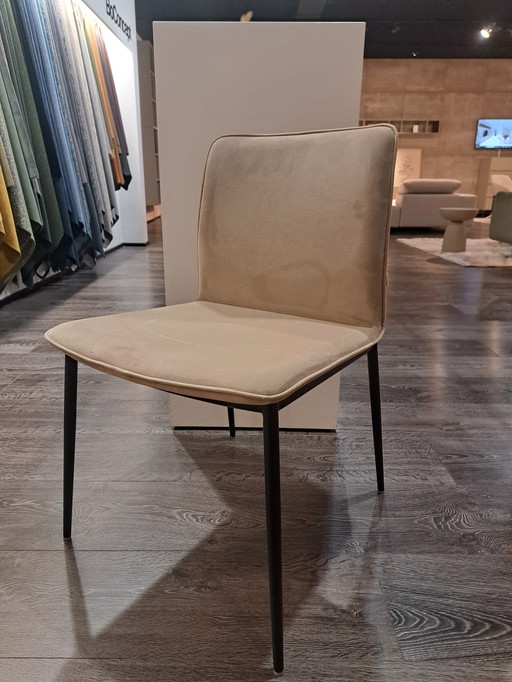 Newport Esszimmerstuhl Beige Samt Stoff