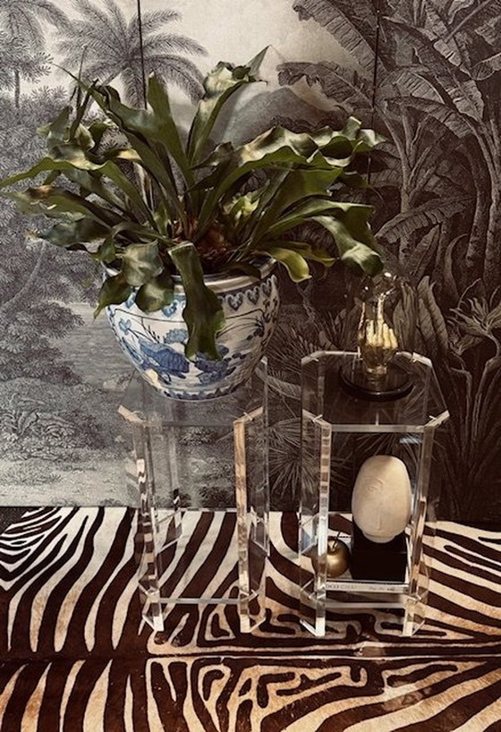 Image 1 of Set Plexiglas Lucite Piebald Pflanztische Konsolen Sockel Beistelltische