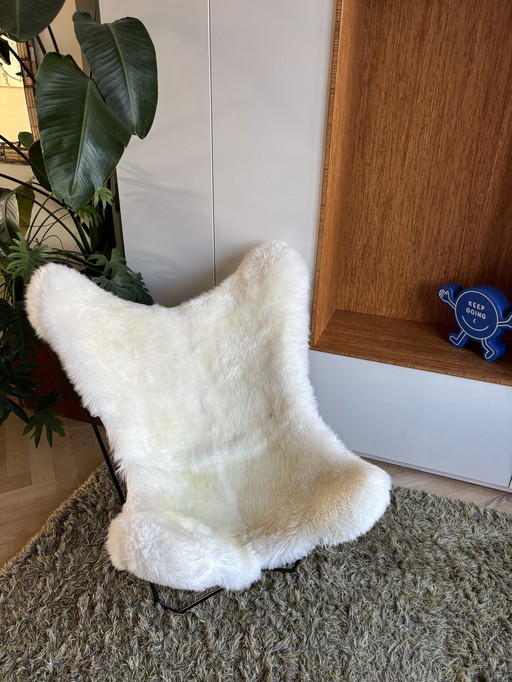 Schmetterlingsstuhl Jorge Ferrari Hardoy