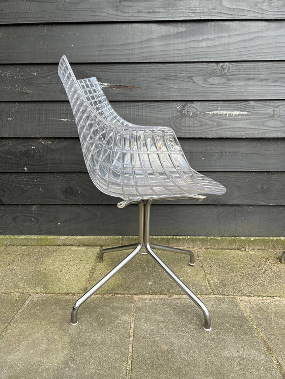 Image 1 of 8X Driade Meridiana