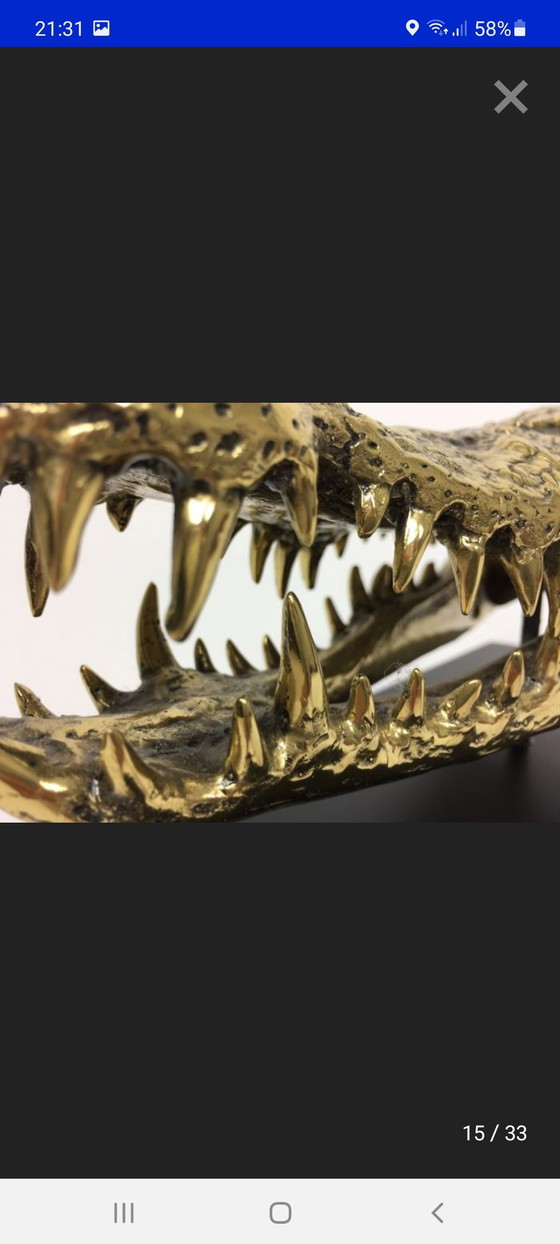 Image 1 of Krokodilschädel aus Messing (Neu)
