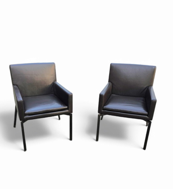 Image 1 of 2 X Beautiful Manet Minotti Arm Chairs 2004 / Braunes Leder / Chrom
Nicht in Produktion
