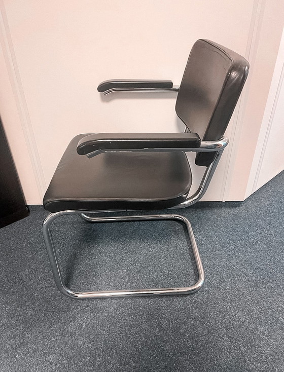 Image 1 of Thonet S64 PV Freischwinger Stuhl Leder