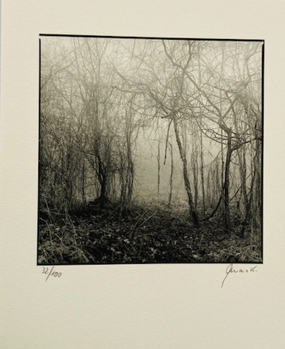 Image 1 of Ralph Janowski – Fotodruck ohne Titel