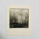 Ralph Janowski – Fotodruck ohne Titel