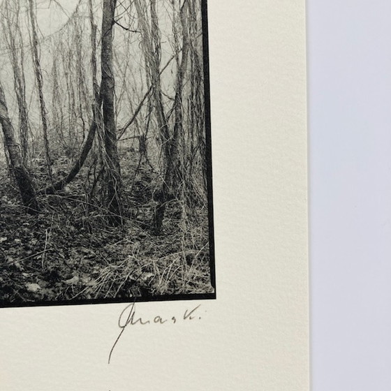 Image 1 of Ralph Janowski – Fotodruck ohne Titel