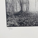 Ralph Janowski – Fotodruck ohne Titel