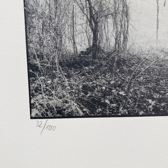 Image 1 of Ralph Janowski – Fotodruck ohne Titel