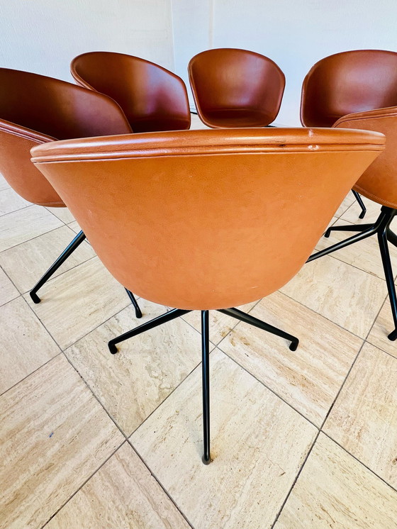 Image 1 of Hay About A Chair Aac21 Stuhl, Sense Cognac, schwarzes Gestell