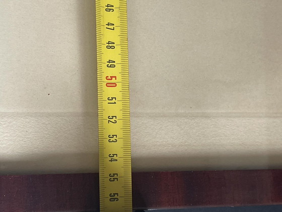 Image 1 of Leon Danchin - rasende Horden