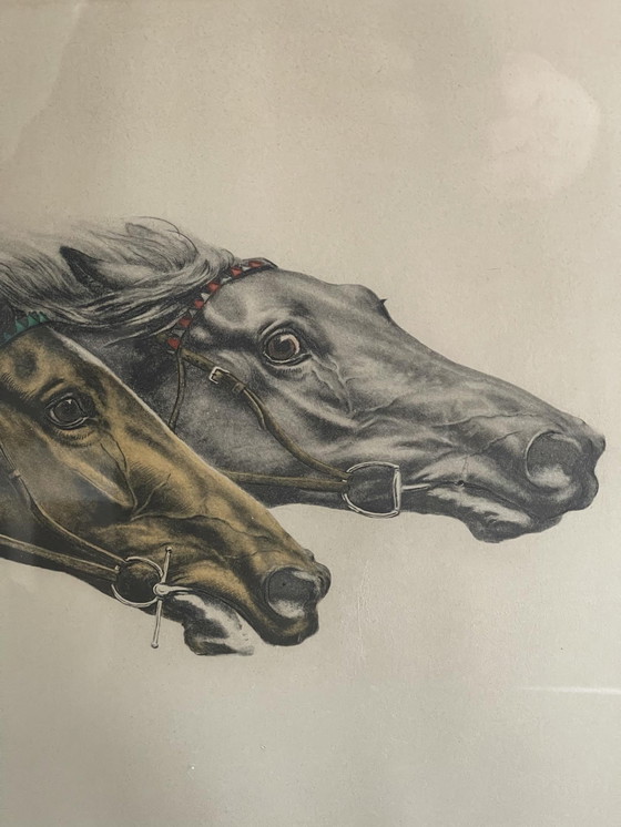 Image 1 of Leon Danchin - rasende Horden