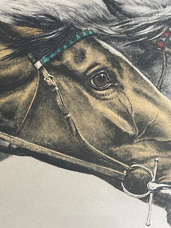 Image 1 of Leon Danchin - rasende Horden