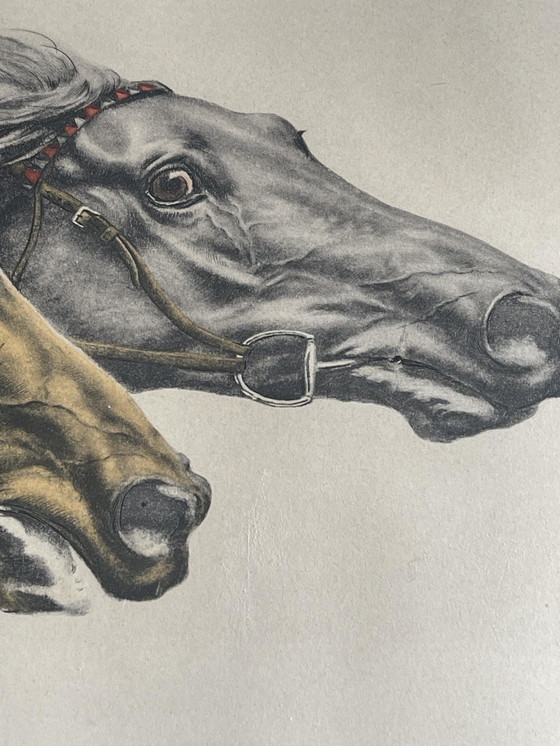 Image 1 of Leon Danchin - rasende Horden