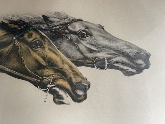 Image 1 of Leon Danchin - rasende Horden