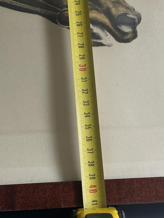 Image 1 of Leon Danchin - rasende Horden