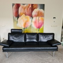 Walter Knoll 3-Sitzer-Sofa aus schwarzem Leder