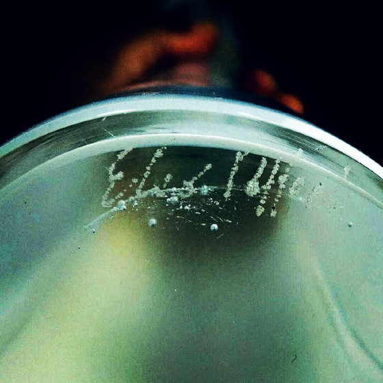 Image 1 of "Dame mit Hund"