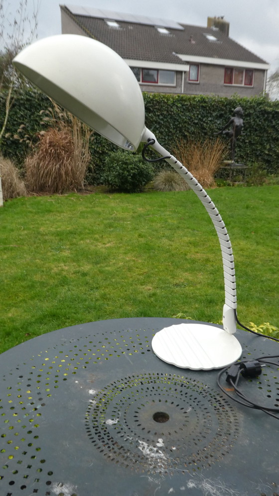 Image 1 of Martinelli Luce 'Flex' Shell-Modell 660