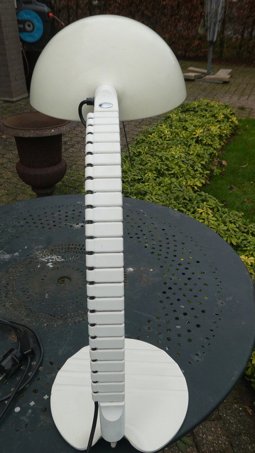 Martinelli Luce 'Flex' Shell-Modell 660