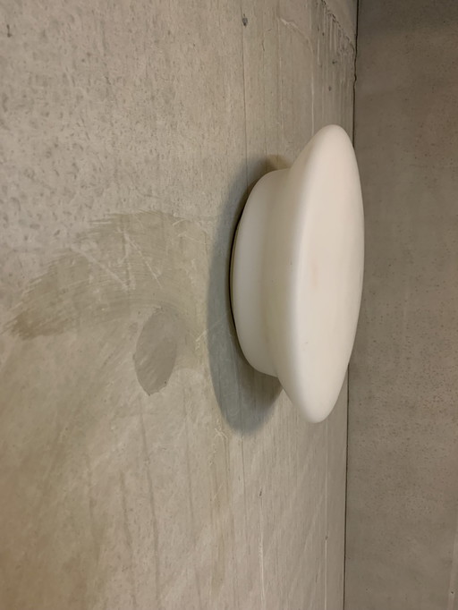 Gispen Minimalistische Glas-Deckenleuchte oder Wandleuchte