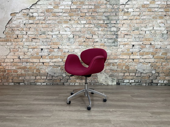 Image 1 of Artifort Kleine Tulpe Lila