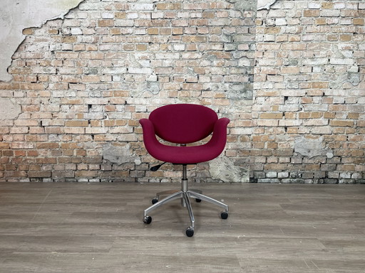 Artifort Kleine Tulpe Lila