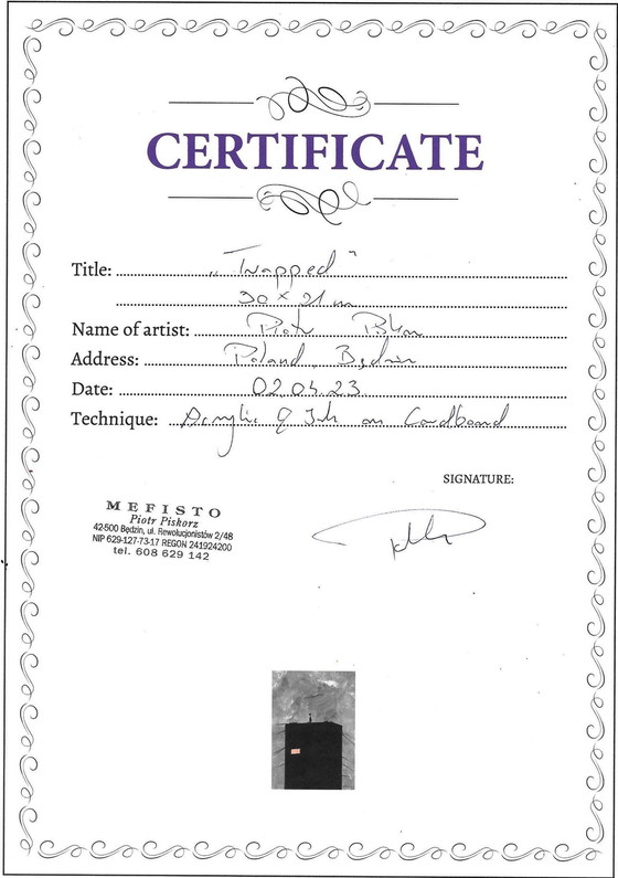 Image 1 of Piotr Piskorz - Gefangen