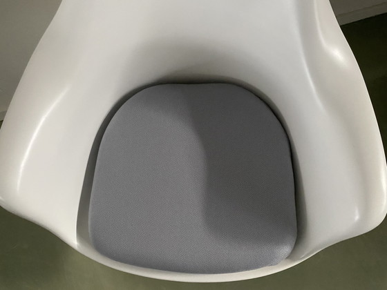 Image 1 of 4x Ersatzkissen Tulip Armchair hellgrau