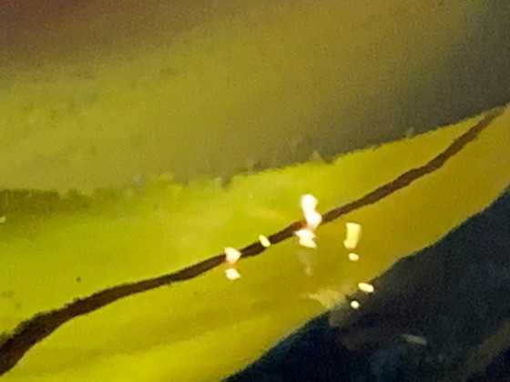 Image 1 of Mehrfarbige Murano-Taschentuchvase