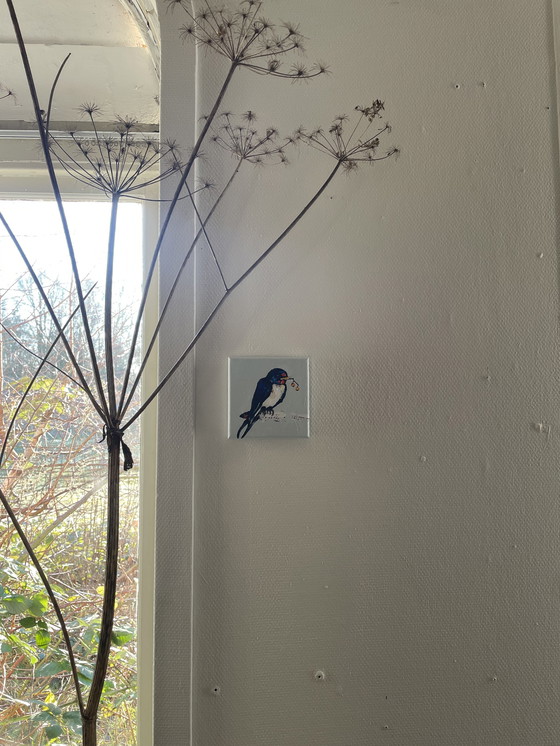 Image 1 of Porträt einer Schwalbe