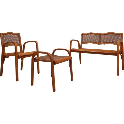 Mid Century Wien Stroh Wohnzimmer Set, 1940er Jahre