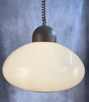 Herda Pilzlampe