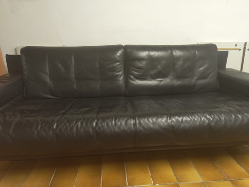 Rolf Benz 6500 Dreisitziges Sofa