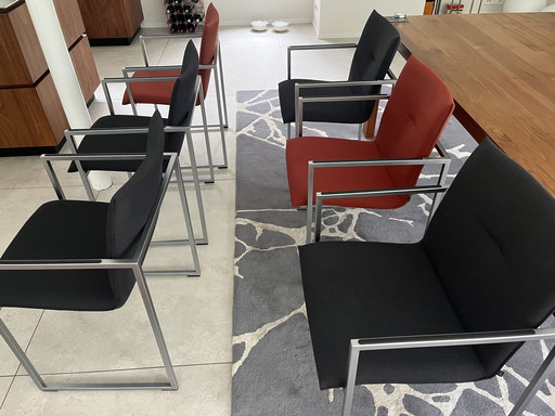 6x Arco Frame Esszimmerstuhl