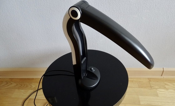 Image 1 of Ikonische Toucan-Lampe