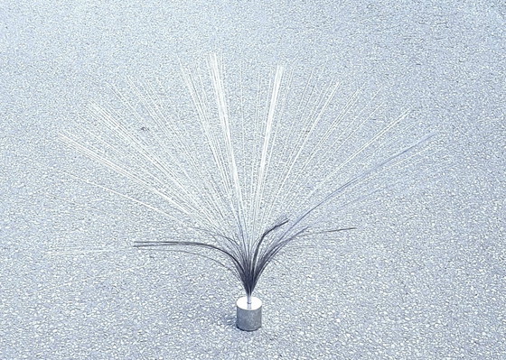 Image 1 of Kinetische Sprühskulptur von Harry Bertoia