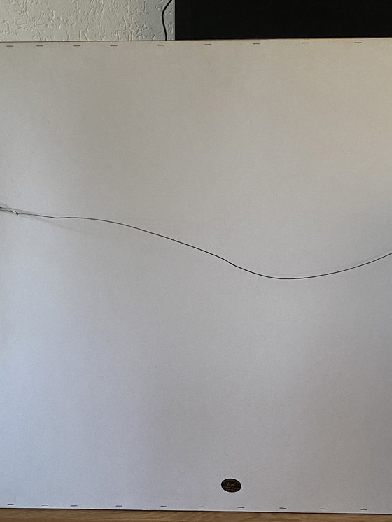 Image 1 of Podane Briels