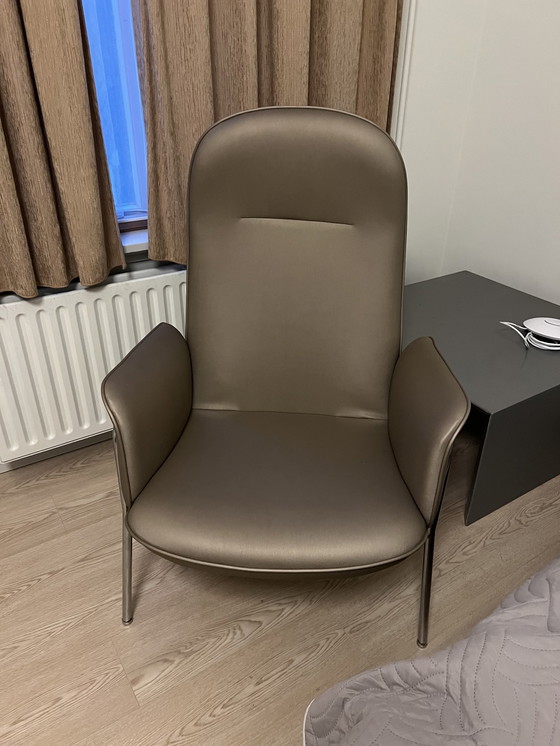 Image 1 of Deberenn Reptile