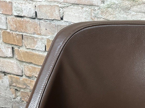 Image 1 of Artifort Lücke Dunkelbraun