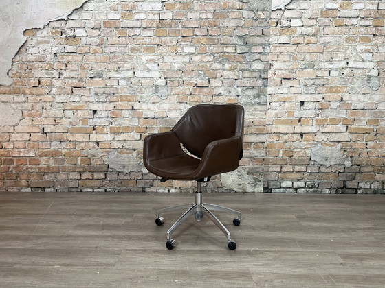 Image 1 of Artifort Lücke Dunkelbraun