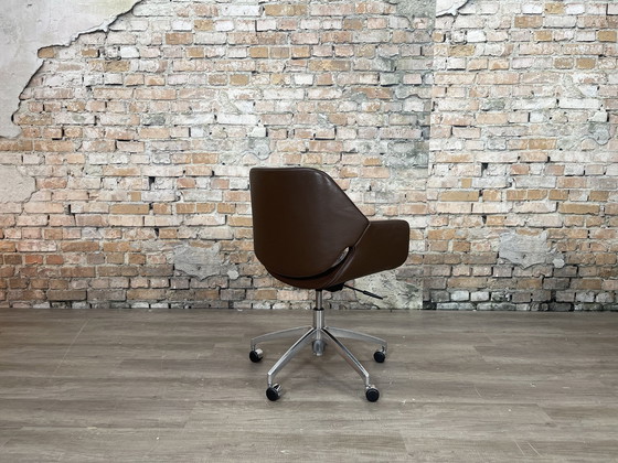 Image 1 of Artifort Lücke Dunkelbraun