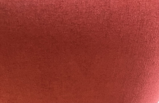 Image 1 of Tubax -Rohrsessel mit Holzarmlehnen