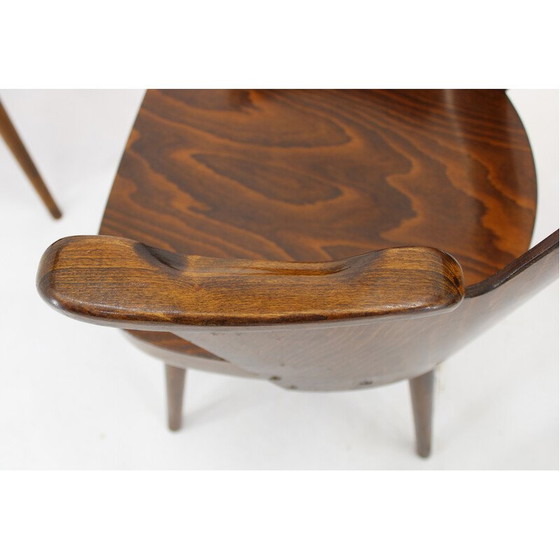 Image 1 of Vintage-Stühle aus gebeiztem Buchenholz und Sperrholz von Oswald Haerdtl für Ton, Tschechoslowakei 1960