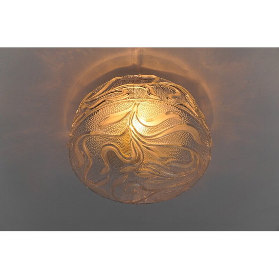 Image 1 of Botanische Deckenlampe aus transparentem Glas, Deutschland 1960