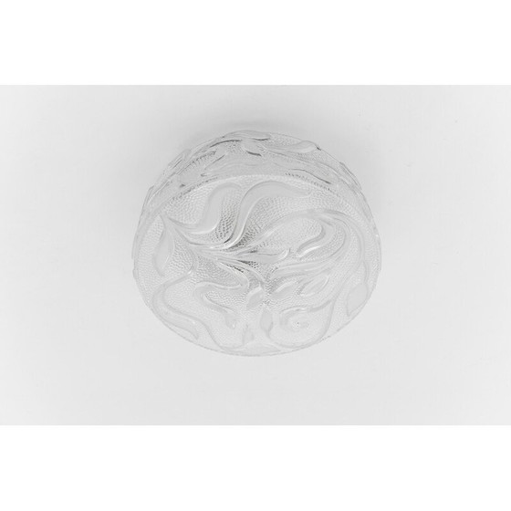 Image 1 of Botanische Deckenlampe aus transparentem Glas, Deutschland 1960
