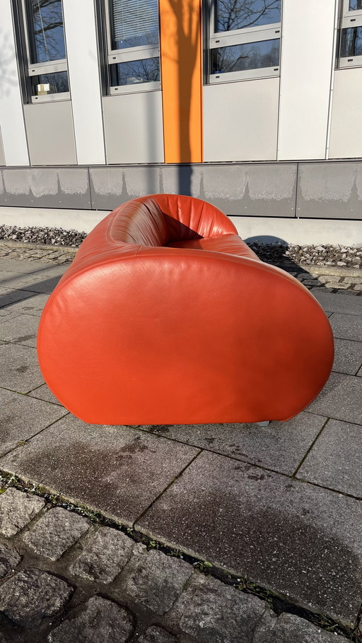 Koinor Design Sofa Pearl Leder Burgunder-Rot   3-Sitzer