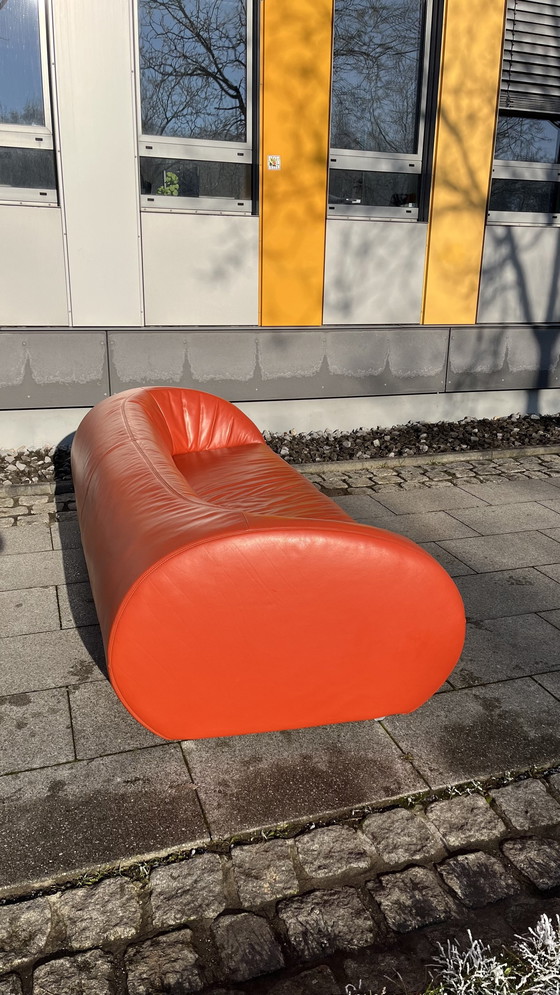 Image 1 of Koinor Design Sofa Pearl Leder Burgunder-Rot   3-Sitzer