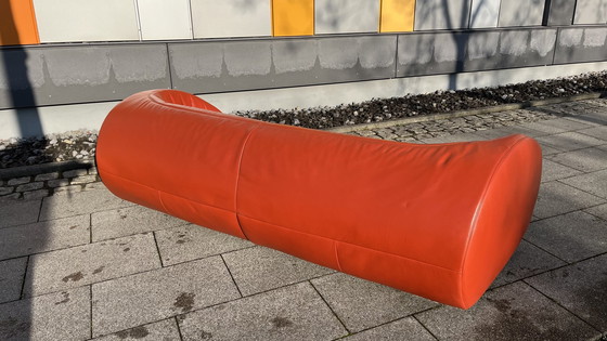 Image 1 of Koinor Design Sofa Pearl Leder Burgunder-Rot   3-Sitzer